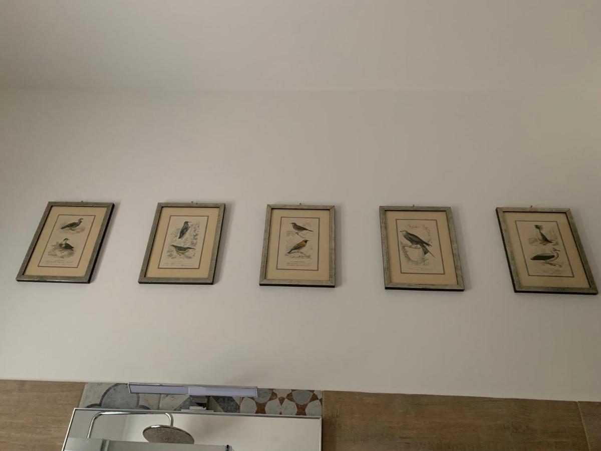 Dimora Castiglioni Villa Lido di Venezia Eksteriør bilde